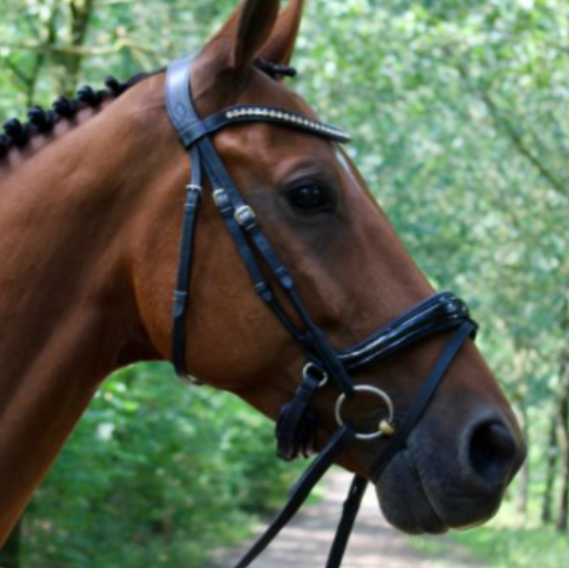 S5 Snaffle Nosebands by Bridle2Fit