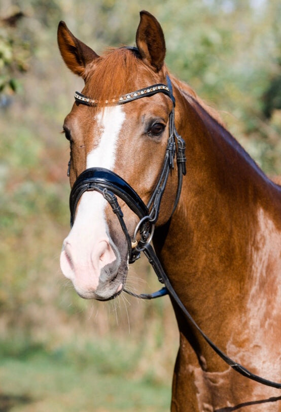 Curated Mix & Match Sizes Taper Patent Noseband Snaffle Bridle with flat or rolled cheeks by Bridle2Fit