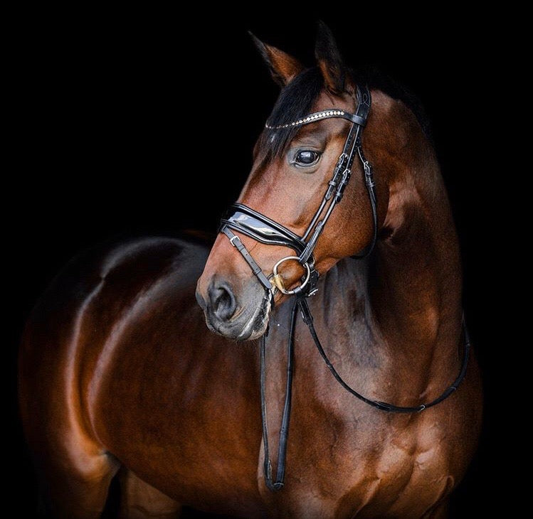 HKM Allure Saddle Pad In Dark Brown - Dressage — 2nd Round Equestrian