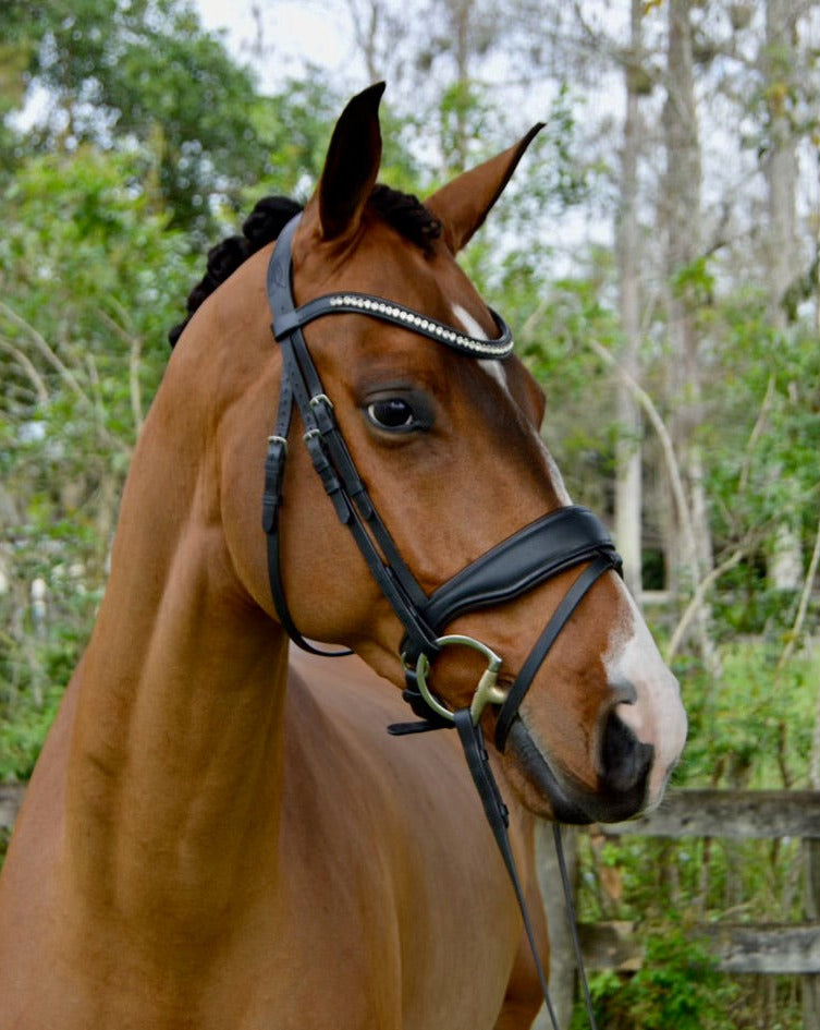 Curated Mix & Match Sizes Wide Leather Noseband Snaffle Bridle with flat or rolled cheeks by Bridle2Fit