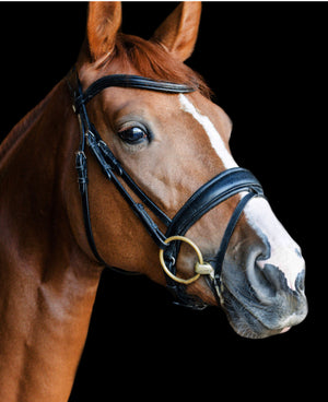 Curated Mix & Match Sizes Taper Leather Noseband Snaffle bridle with flat or rolled cheeks by Bridle2Fit