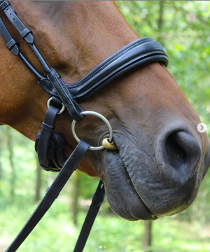 S5 Weymouth Nosebands by Bridle2Fit