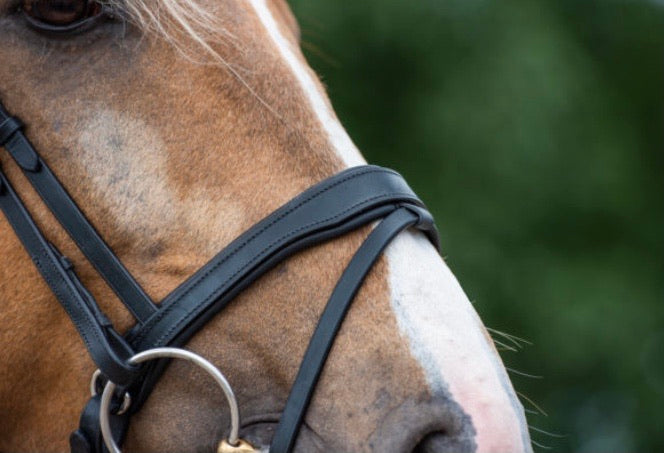 S4 Snaffle Nosebands by Bridle2Fit